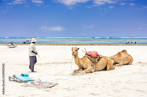 Camels and Diani beach seascape, Kenya