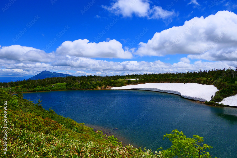 十和田八幡平国立公園。初夏のガマ沼。八幡平　岩手　日本。６月下旬。