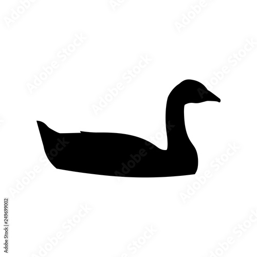 Silhouette of a swimming goose