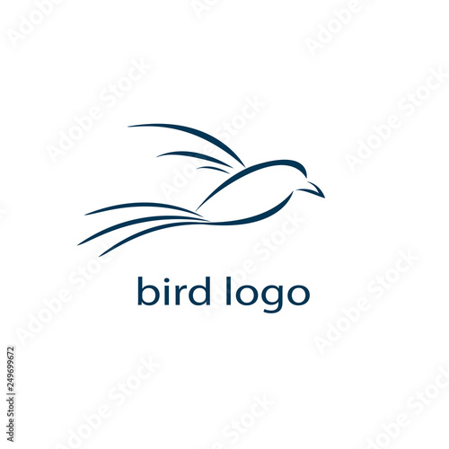 vector bird logo