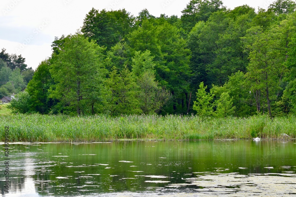 Spring landscape with river and trees Spring landscape with river and trees