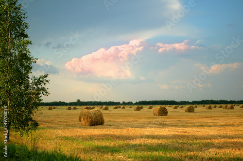 Fotografía Sheaves of hay