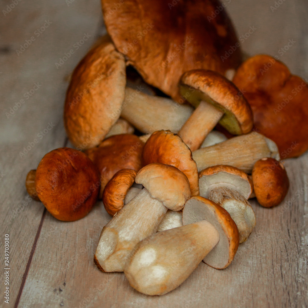 autumn porcini white mushrooms on a wooden table, side view, autumn seasonal traditional food, gift of forest autumn porcini white mushrooms on a wooden table, side view, autumn seasonal traditional food, gift of forest