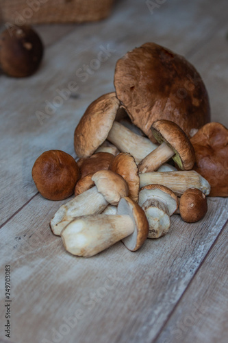 autumn porcini white mushrooms on a wooden table, side view, autumn seasonal traditional food, gift of forest