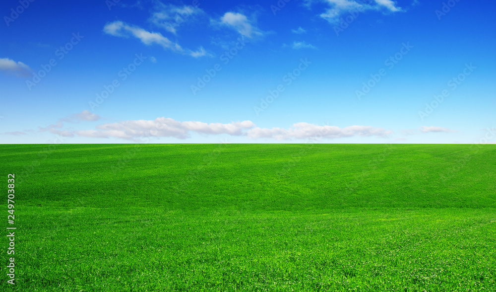 Green field and blue sky