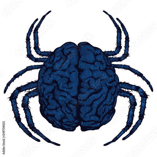 Brain insect