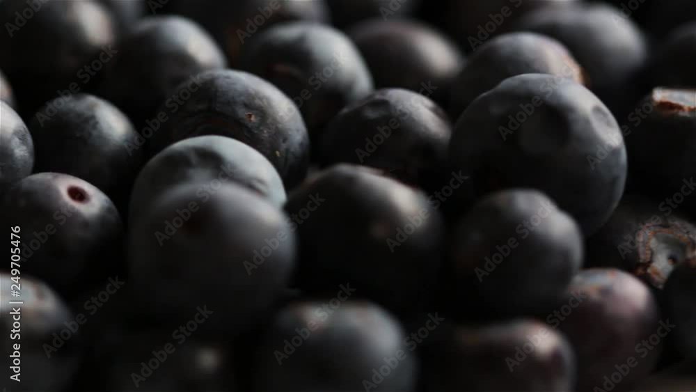Rotating Blueberry Macro Close Up Rotating Blueberry Macro Close Up