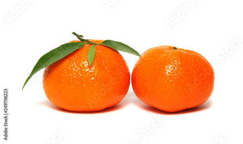 Tangerine or clementine