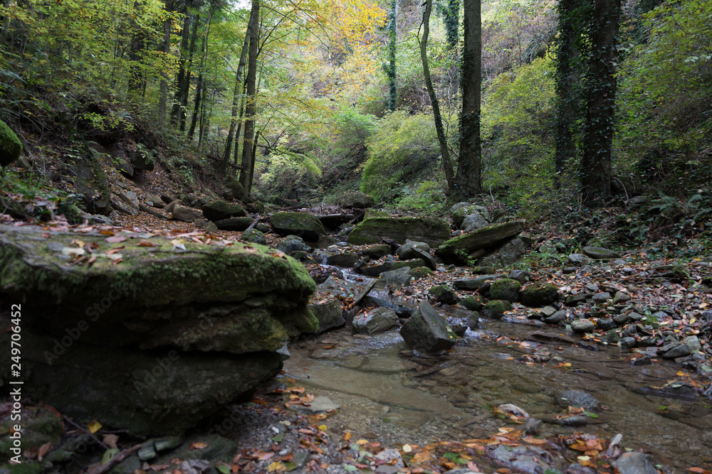 Stream in a mountain gorge in the autumn forest. Stream in a mountain gorge in the autumn forest.