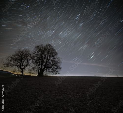 startrails with tree photo