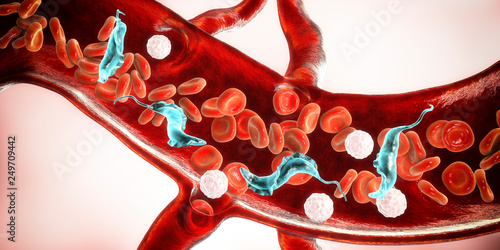 Fotografie Trypanosoma cruzi parasites in blood, 3D illustration