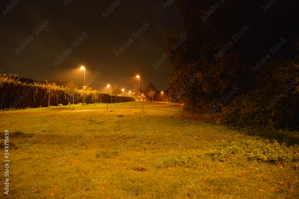 Obraz premium Nacht