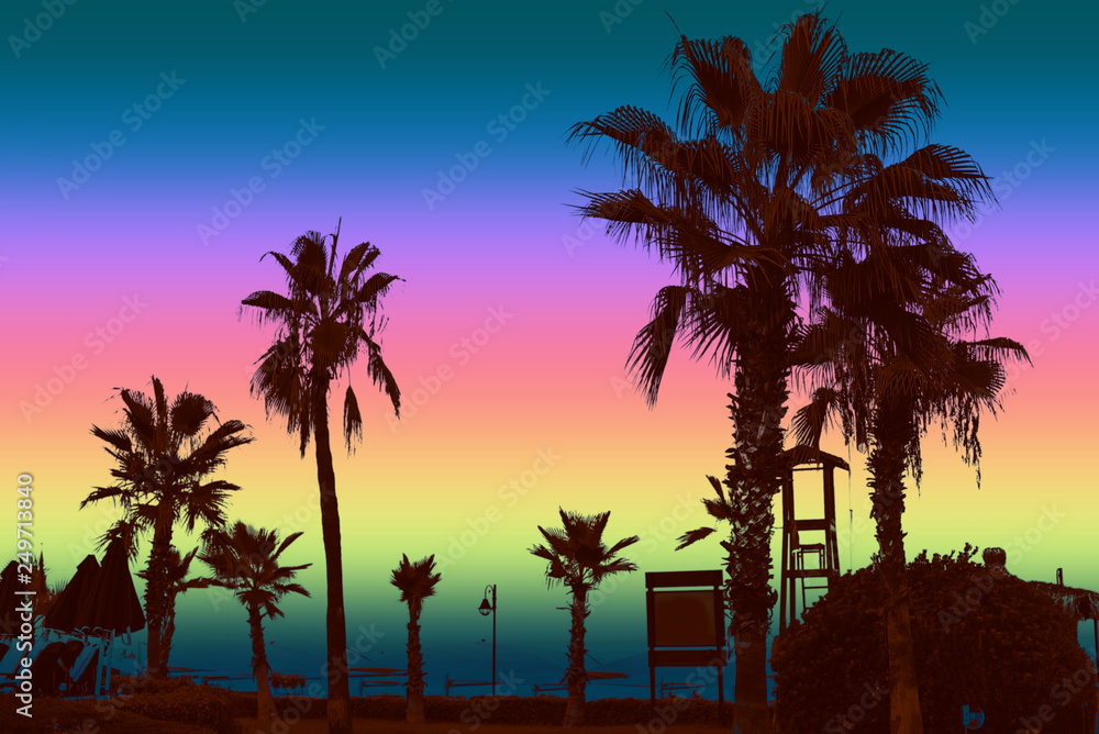 Palm trees at dusk. Colorful background. Summer night.