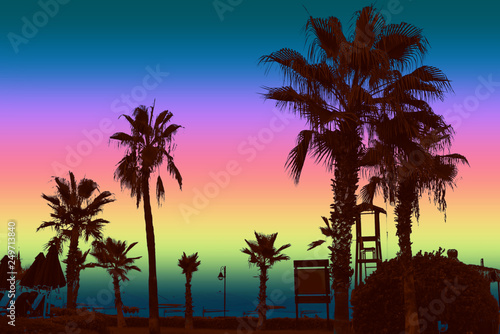 Palm trees at dusk. Colorful background. Summer night.