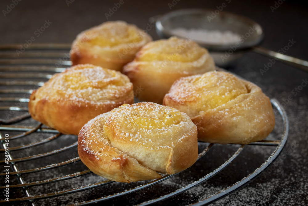 Small vaanilla snails with icing sugar on a cake rack Small vaanilla snails with icing sugar on a cake rack