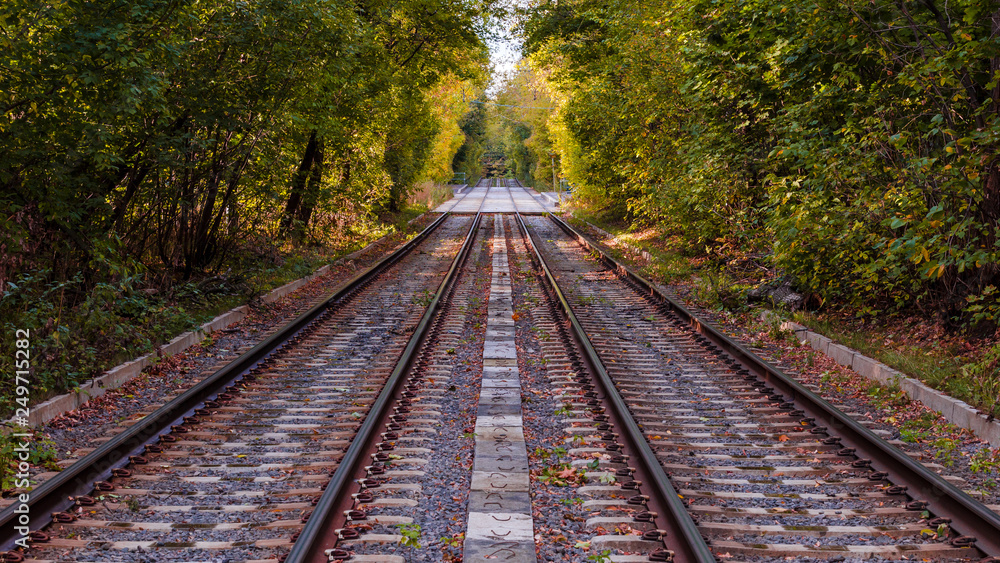Tramways through the autumn forest Tramways through the autumn forest