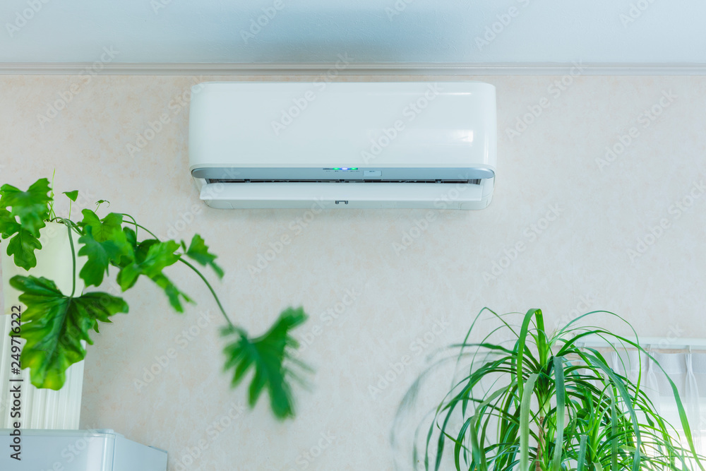 エアコンと風に揺れる観葉植物 Stock Photo Adobe Stock