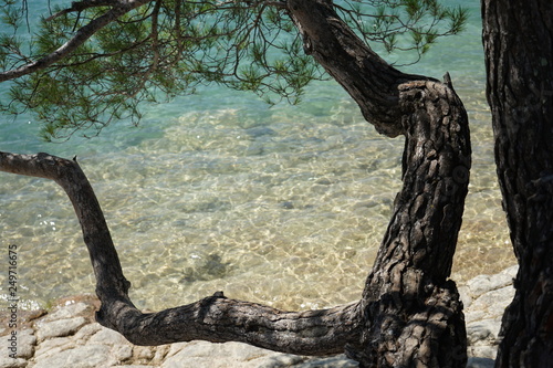 Verdon lake - clear water - France photo