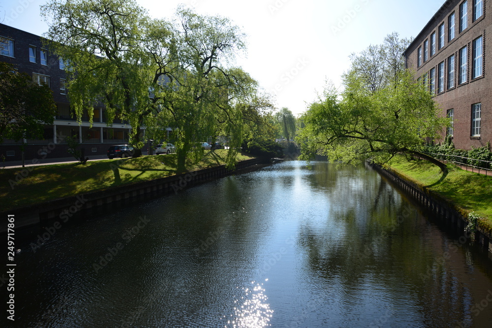 Obraz premium Sommer