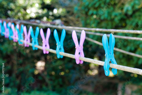Colored pegs for hanging