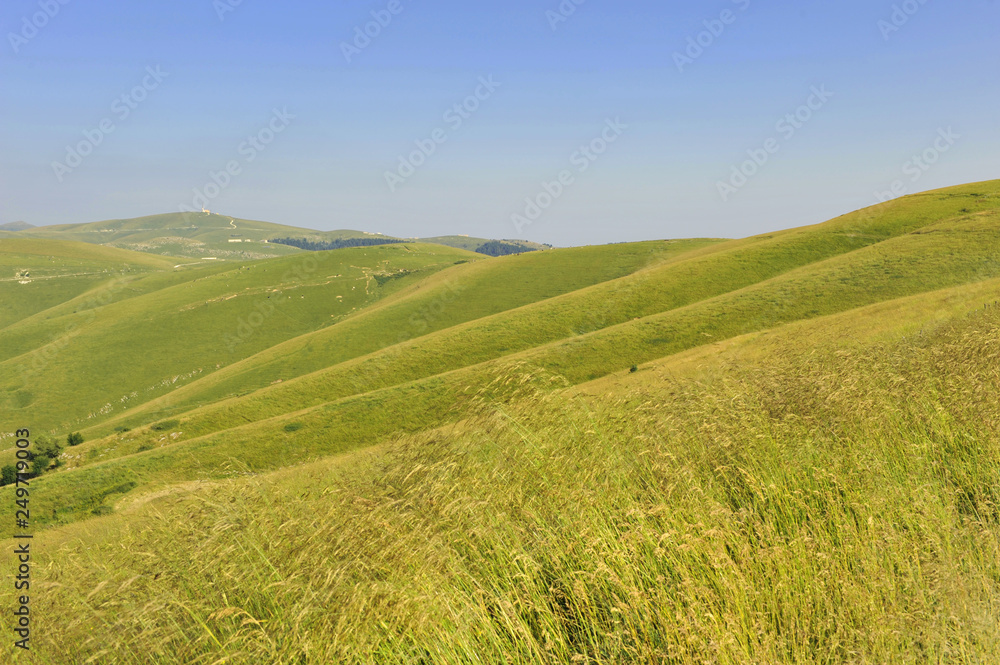 Grassy meadow in the summer mountains. Lessinia in Northern Italy.