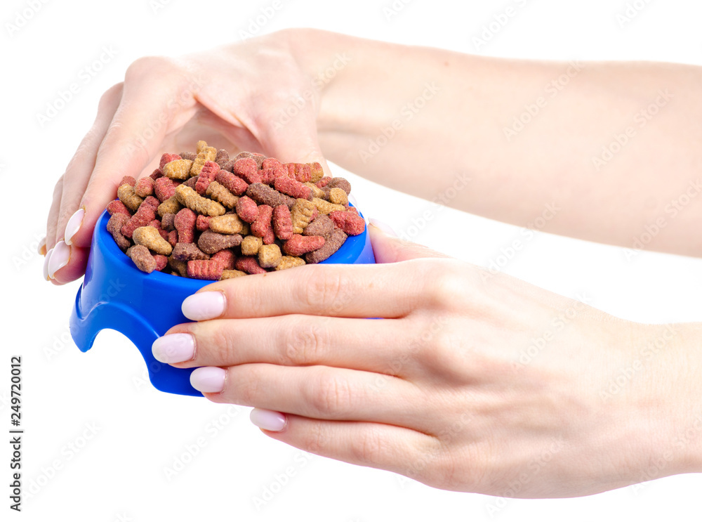 Dry food in a bowl for dogs and cats in hands on a white background isolation Dry food in a bowl for dogs and cats in hands on a white background isolation