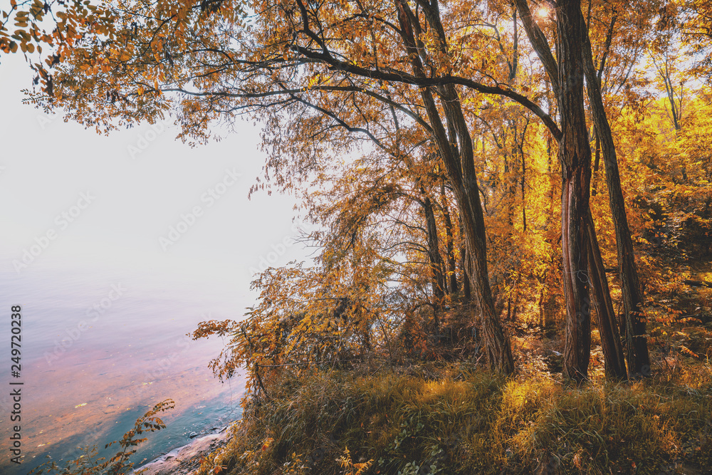 Beautiful autumn landscape. Trees grow on a cliff on the seacoast