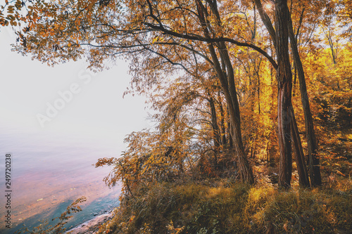 Beautiful autumn landscape. Trees grow on a cliff on the seacoast