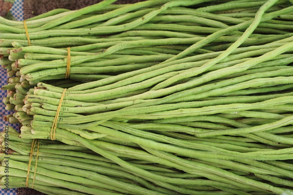 Long bean for cooking at street food Long bean for cooking at street food