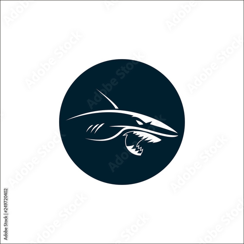 Shark Logo Design