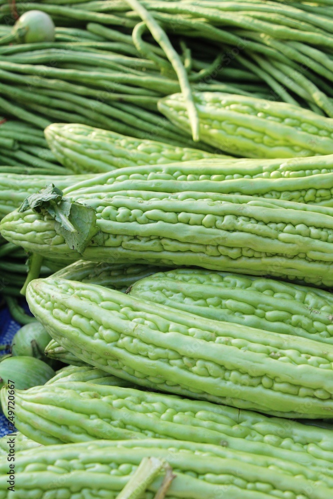 Bitter melon gourd for cooking in market Bitter melon gourd for cooking in market