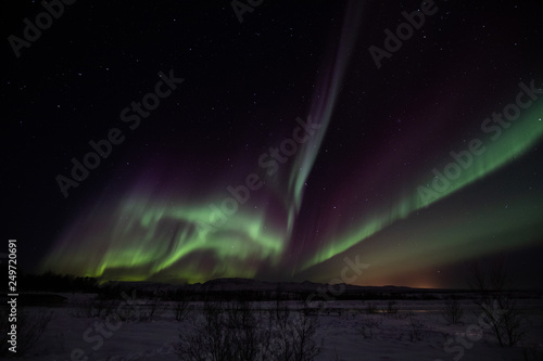 aurora borealis at thingvellir national park Iceland © Ji