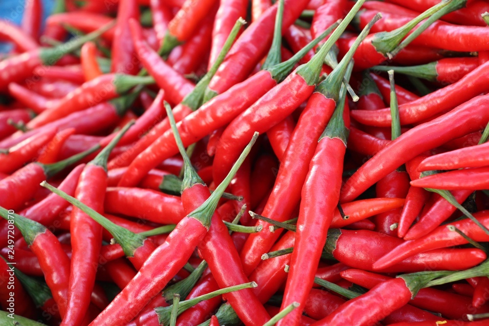 Fresh chilli for cooking at street food Fresh chilli for cooking at street food
