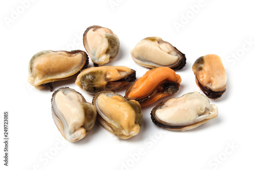 Mussel meat