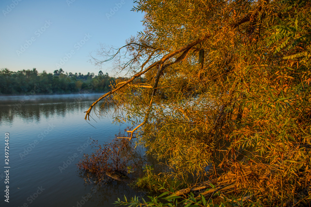 Obraz premium Sunrise by the river