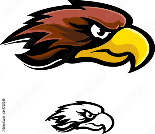 Hawk isolated