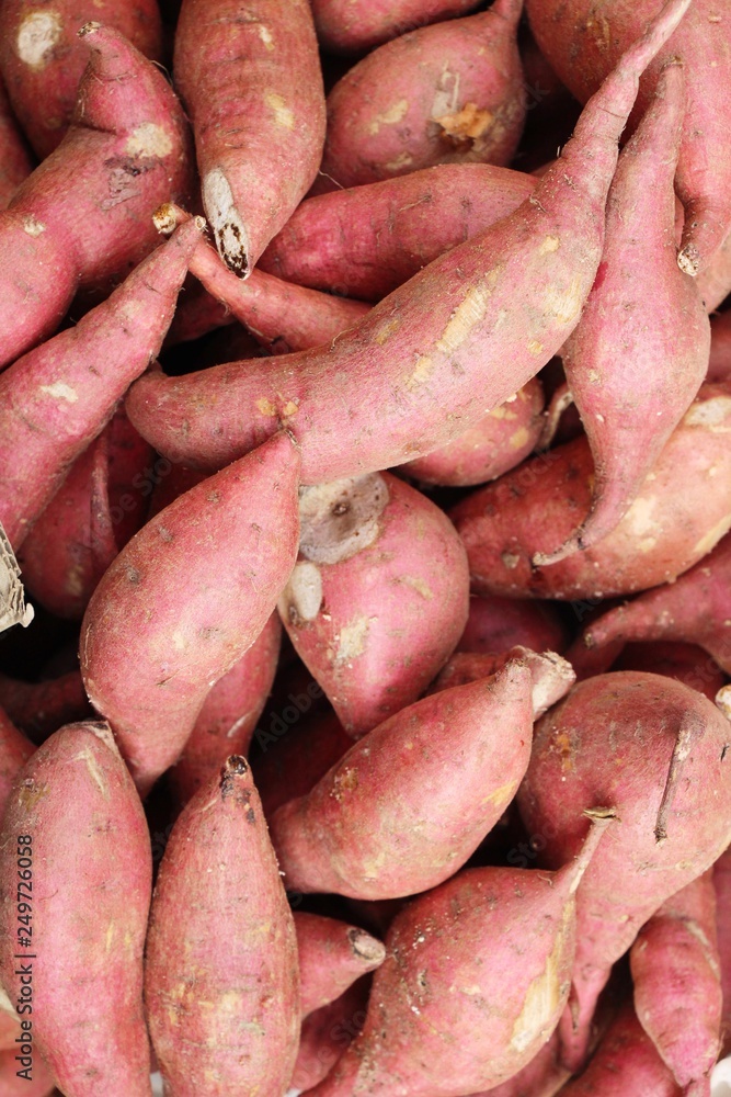 Fresh yam for cooking in the market Fresh yam for cooking in the market