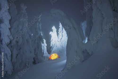 Glowing colorful camping tent in snow mountains in the winter forest into a fairy tale. Journey through the winter alpine forests in the wild mountains at night. Foggy weather and snowstorm.  photo