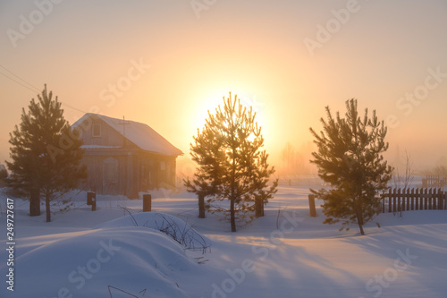 Cold morning in Siberia 