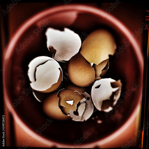 High contrast image of collected egg shells to mix a do-it-yourself fertilizer for your own garden