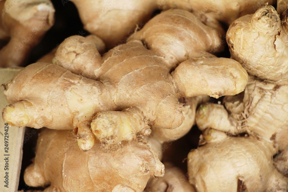 Ginger root for cooking in the market.. Ginger root for cooking in the market..
