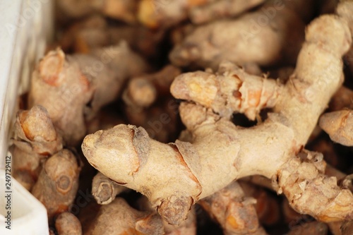 Fresh turmeric root is herb for health