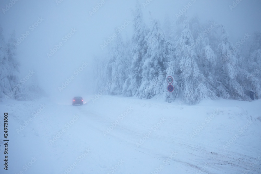Car on road in forest. Snow lies on the branches of trees. Frosty snowy weather. Beautiful winter forest landscape fantasy forest with snow falling in winter Winter foggy forest scene. Christmas time Car on road in forest. Snow lies on the branches of trees. Frosty snowy weather. Beautiful winter forest landscape fantasy forest with snow falling in winter Winter foggy forest scene. Christmas time