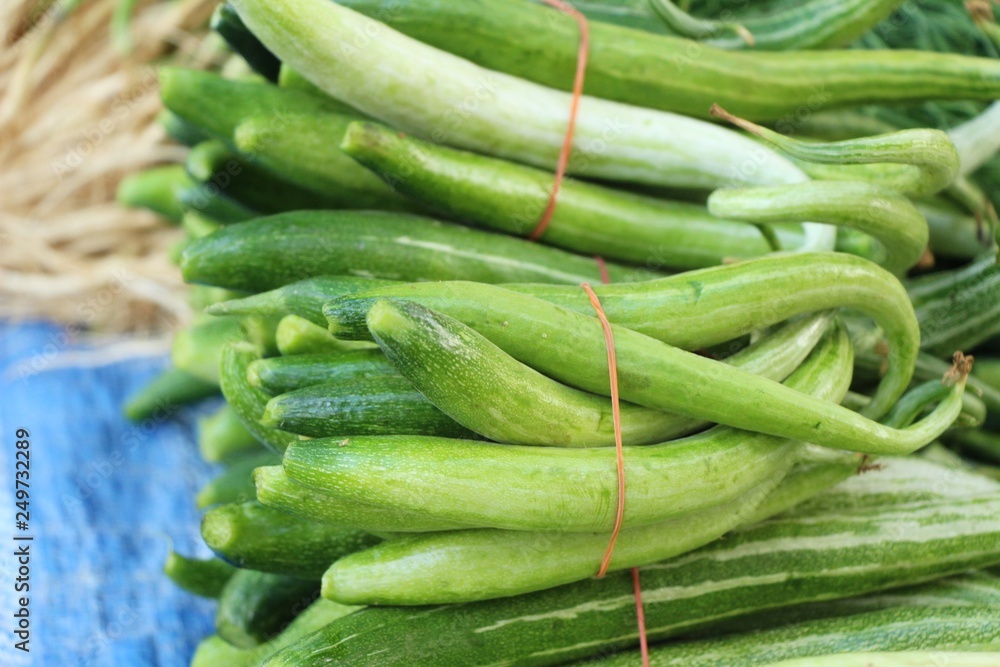 Fresh cucumbers for cooking in the market Fresh cucumbers for cooking in the market