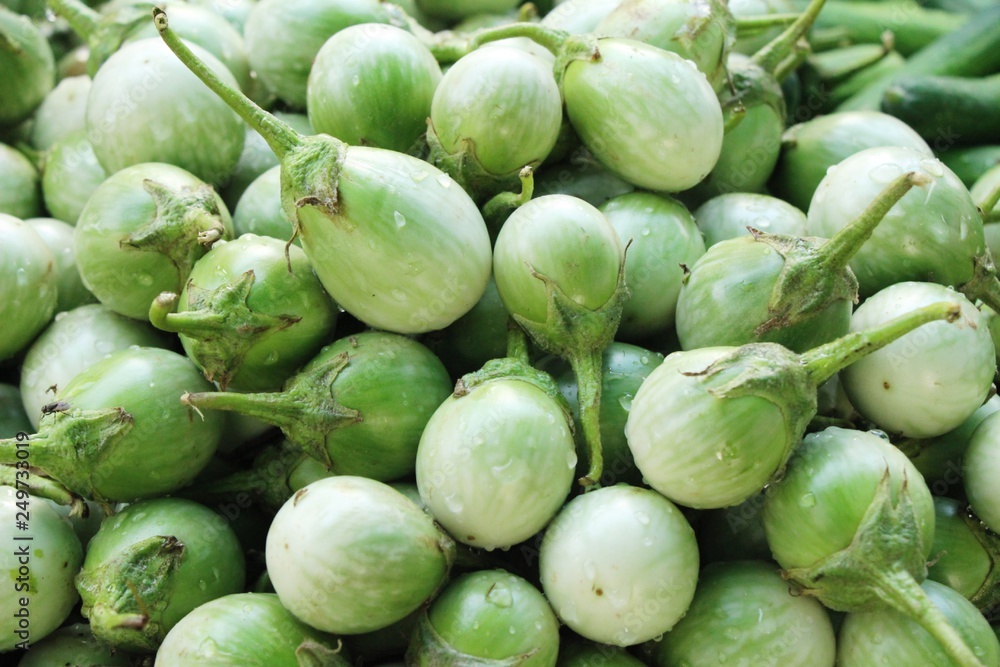 Fresh eggplant green organic at street food Fresh eggplant green organic at street food