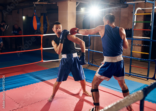 Male professional boxer training kick boxing with sparring partner in the ring at the sport club