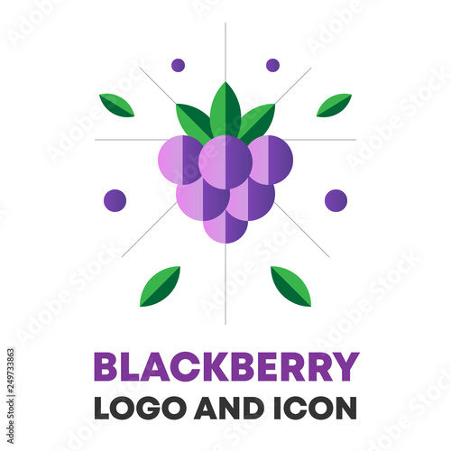 Blackberry, berry vector. Blackberry, berry icon, logo design for brand, food, cosmetic package. Flat blackberry icon, logo for menu. Blackberry icon, logo. Berry vector illustration for company logo.