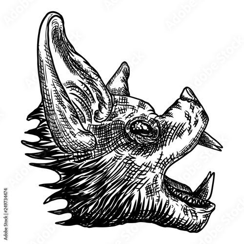 Bat head or face drawing. Gothic illustration of monsters for the Halloween. Witchcraft magic, occult attributes decorative elements. Drawing of night creatures.