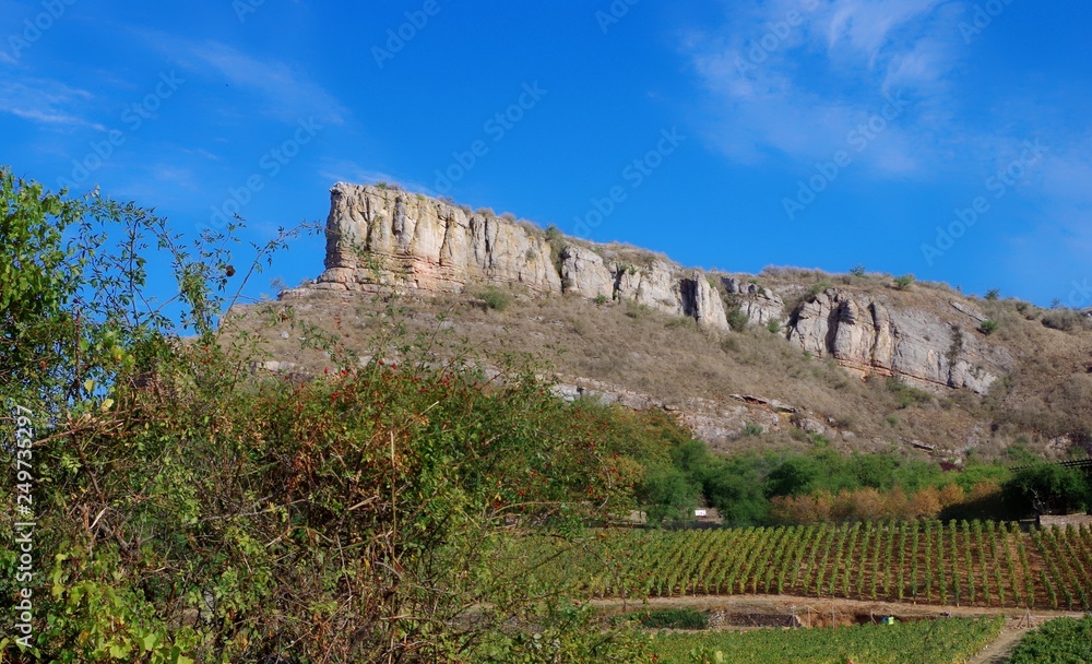 panorama éloigné de la Roche de Solutré et ses vignes derrière un buisson