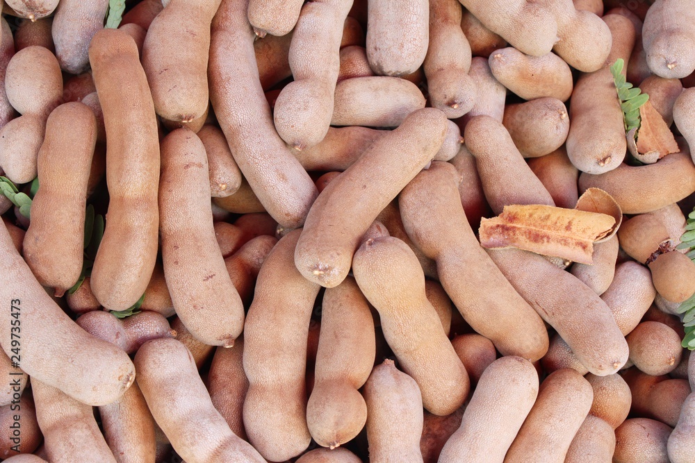 Tamarind fruit is delicious at street food Tamarind fruit is delicious at street food